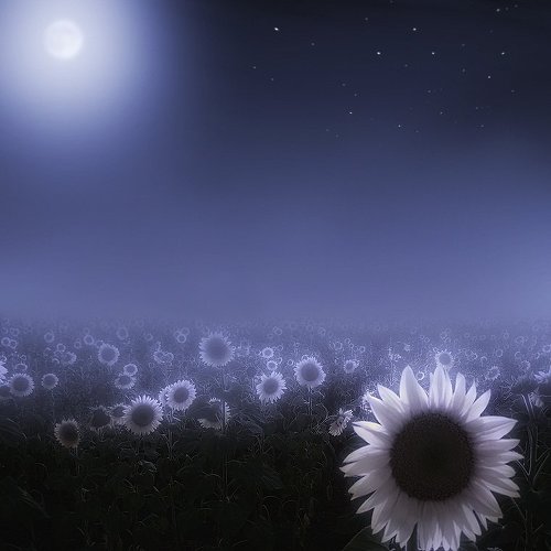 ����ũ��� ����